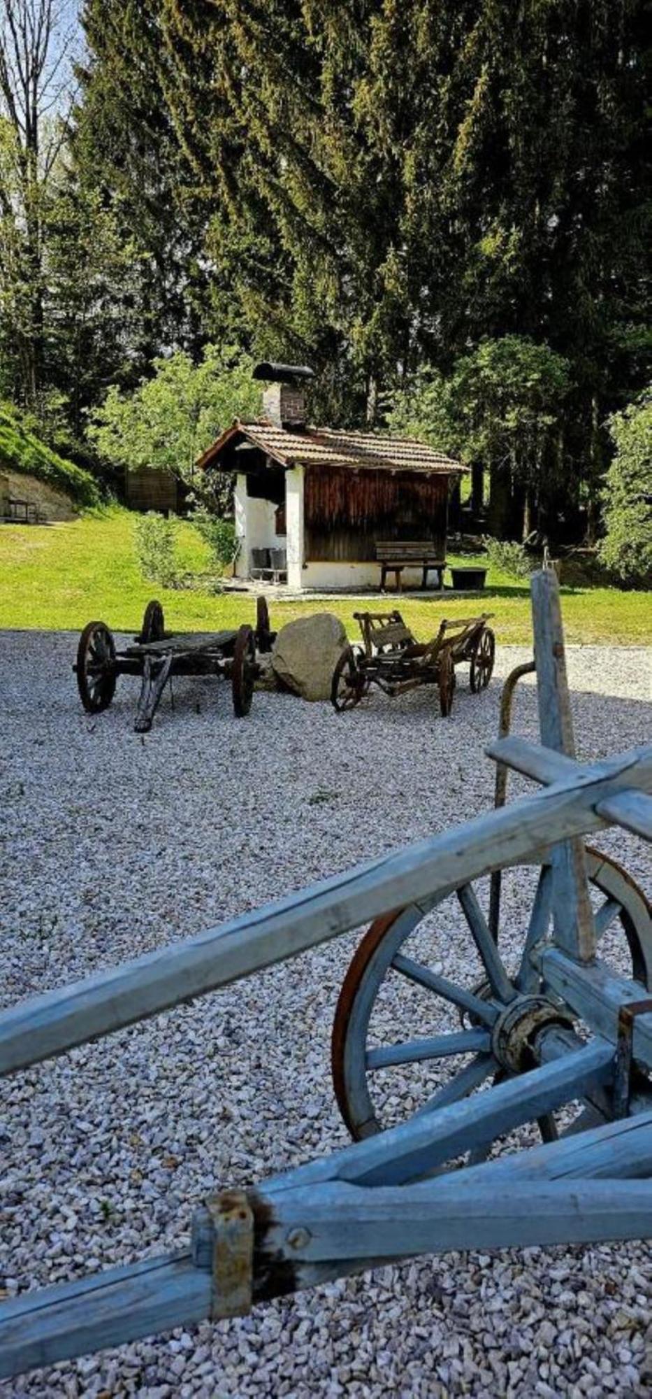 Chalet Waldstadl, Andrea'S Woidhaisl Arnbruck Exterior foto